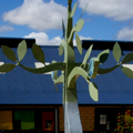 comet bay primary school